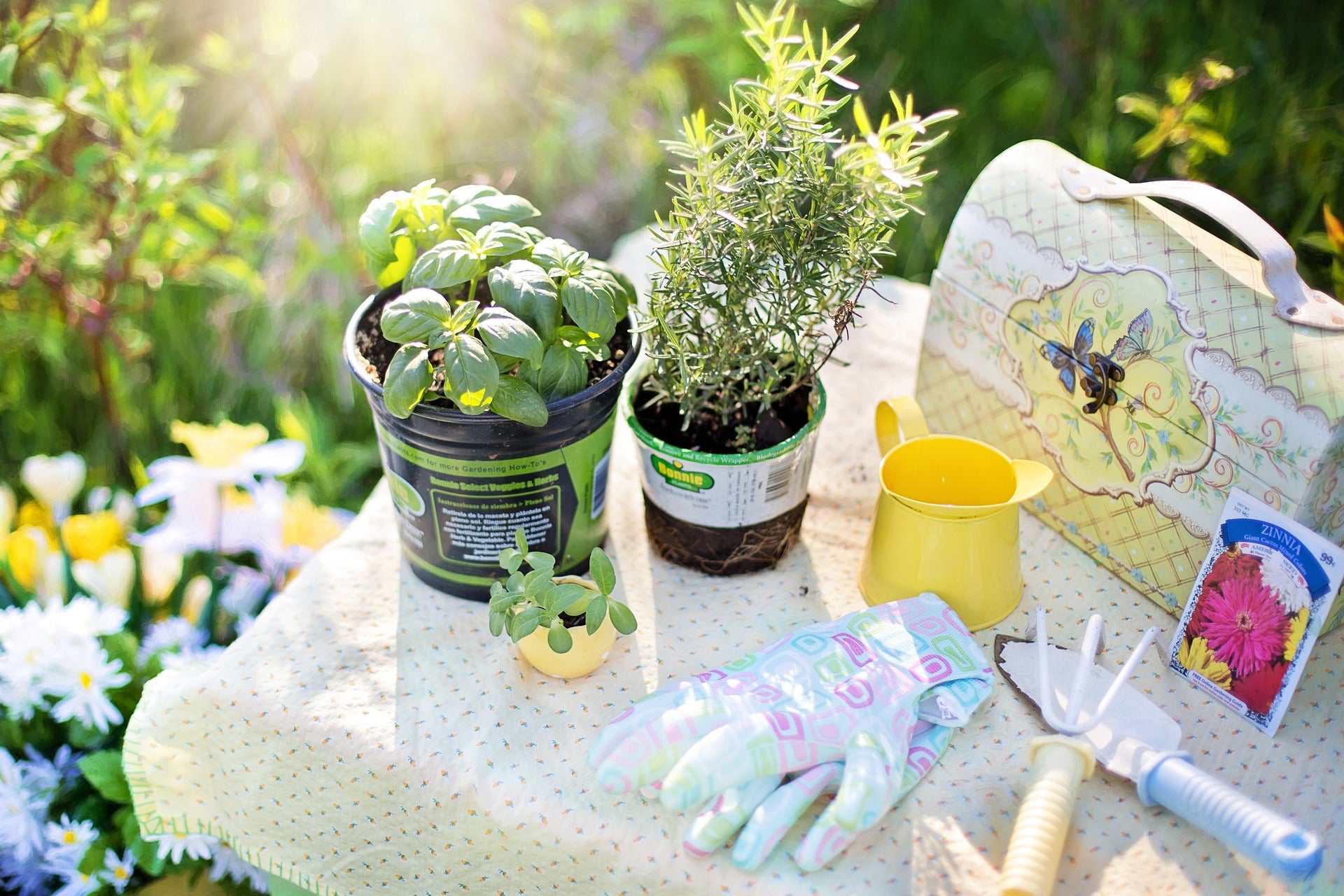 Home & Garden