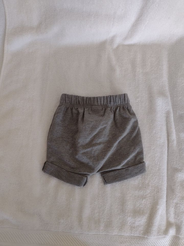 Baby Shorts by Cat & Jack 6M-9M Gray