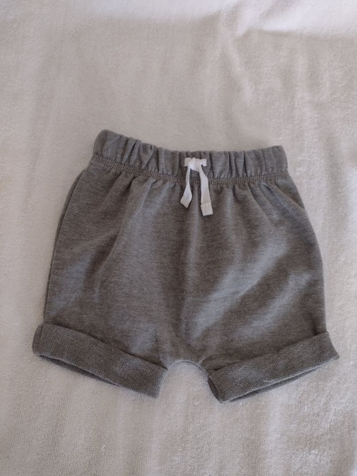 Baby Shorts by Cat & Jack 6M-9M Gray