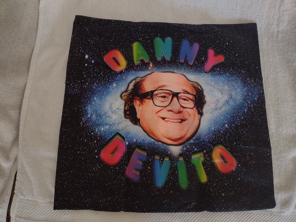 Cushion Covers for Your Couch/Chair~17 x 17" Danny Devito