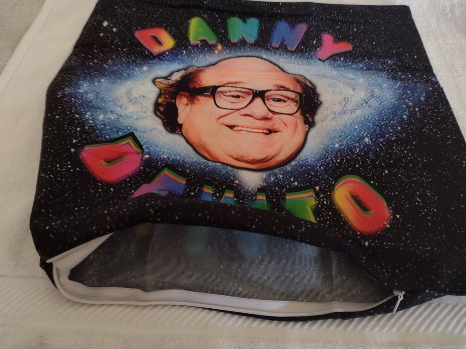 Cushion Covers for Your Couch/Chair~17 x 17" Danny Devito