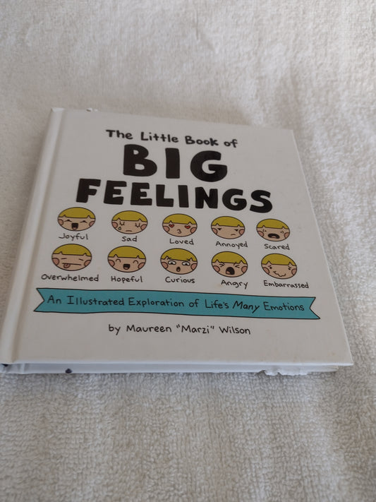 The Little Book of Big Feelings by Maureen "Marzi" Wilson for Adults & Children
