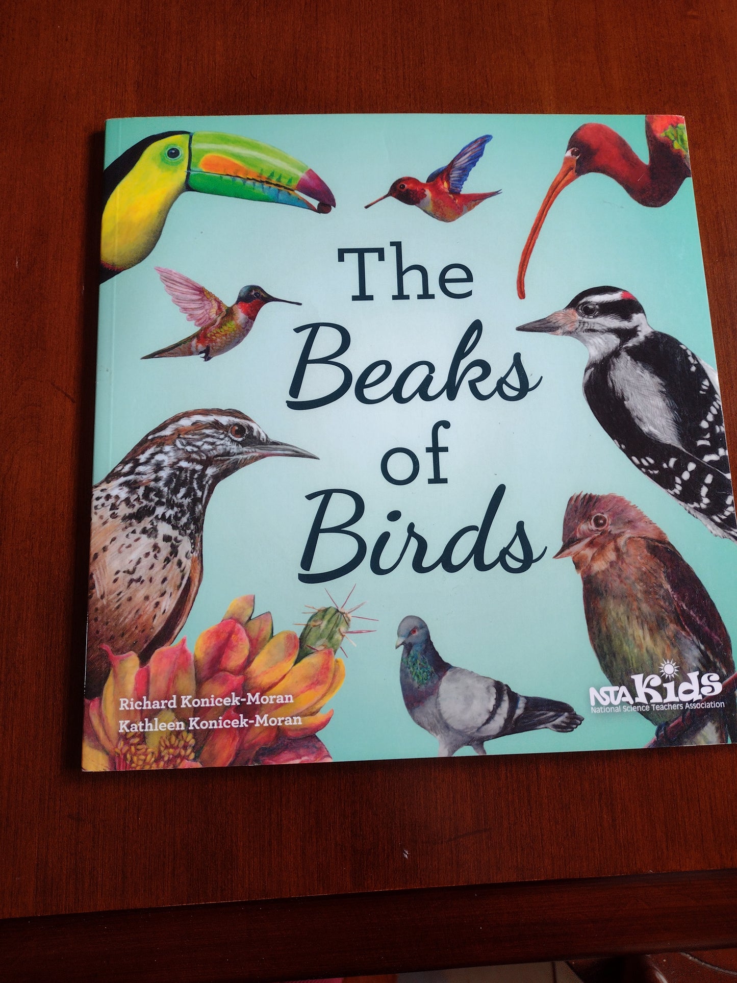 The Beaks of Birds Grades 3-5