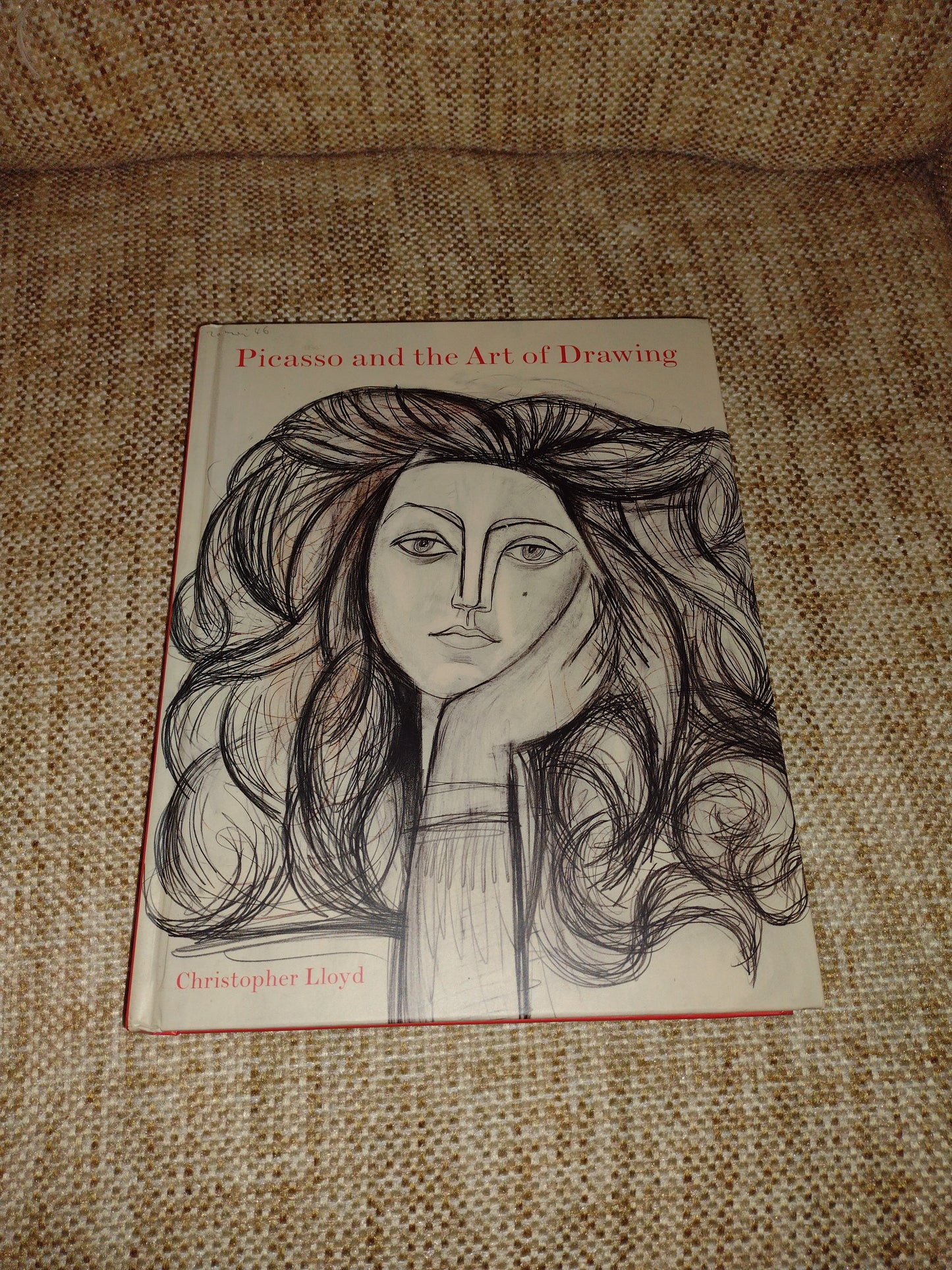 Picasso and the Art of Drawing