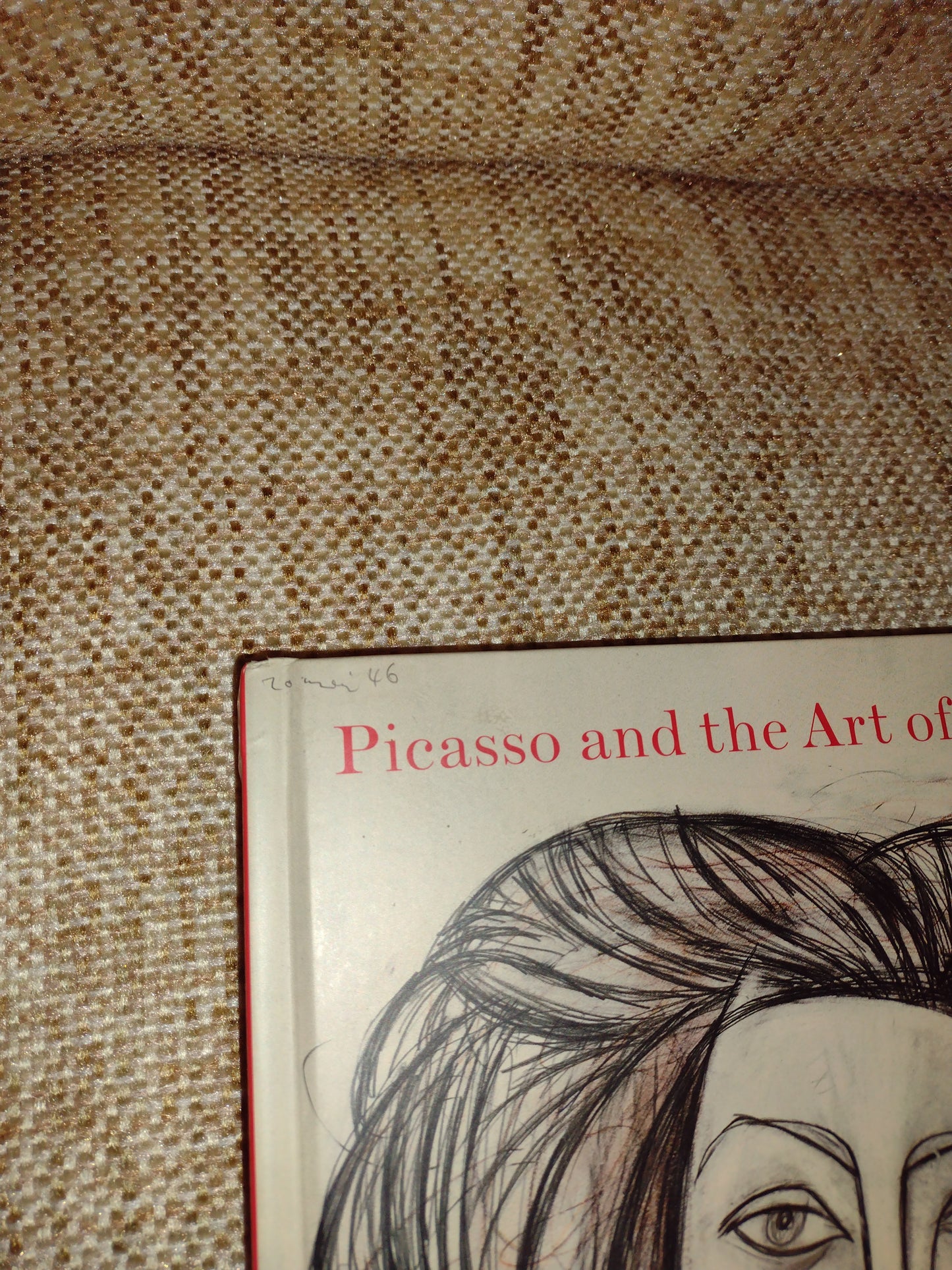 Picasso and the Art of Drawing