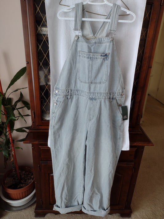 Women's Oversized Denim Overalls by Wild Fable Size L~Light Blue